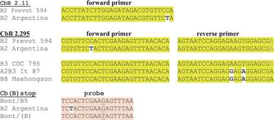Real-time PCR assays that detect genes for botulinum neurotoxin A–G subtypes
